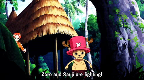 Zoro Vs Sanji Fight GIF